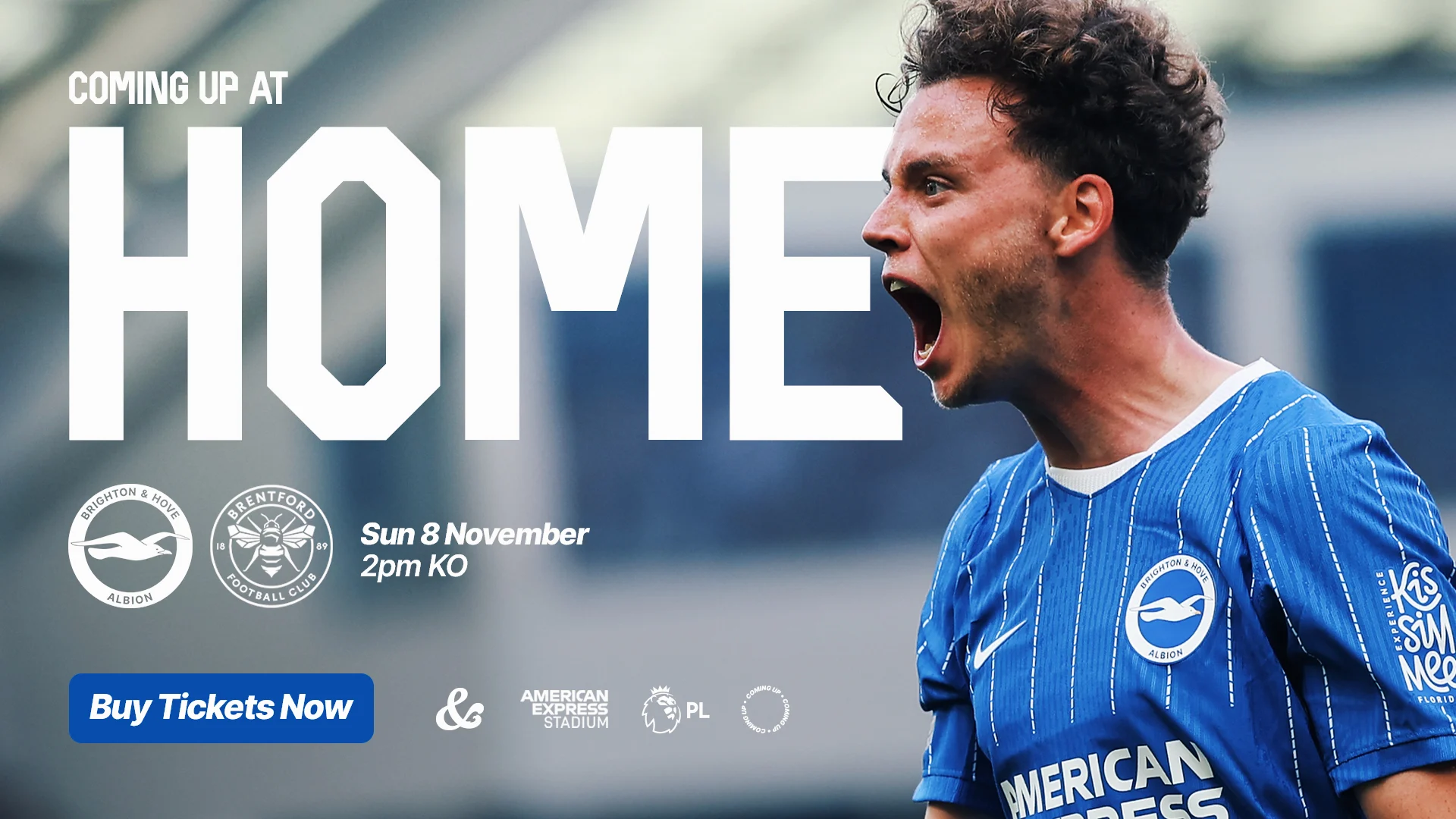 COMING UP AT HOME - Albion v Brentford Sunday 8 November 2pm