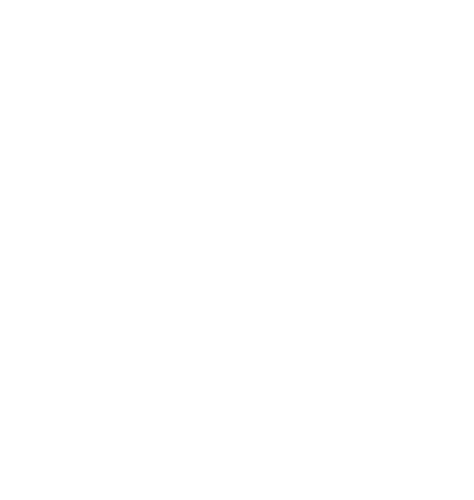 Brighton & Hove Albion Foundation