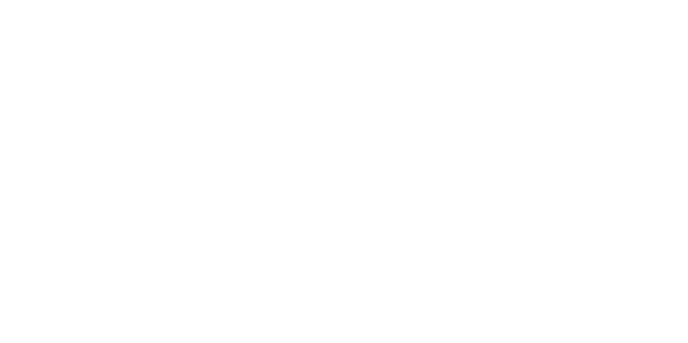 Group 1 BMW