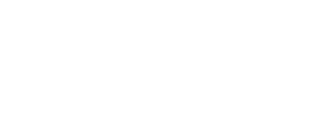 Focus Group