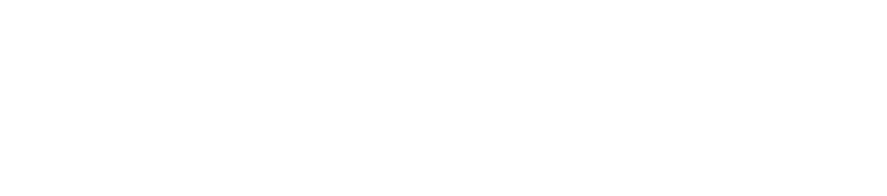  Hosiden Besson