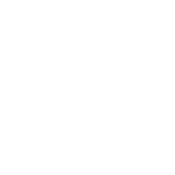 The Shore Group