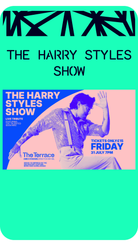 The Harry Styles Show